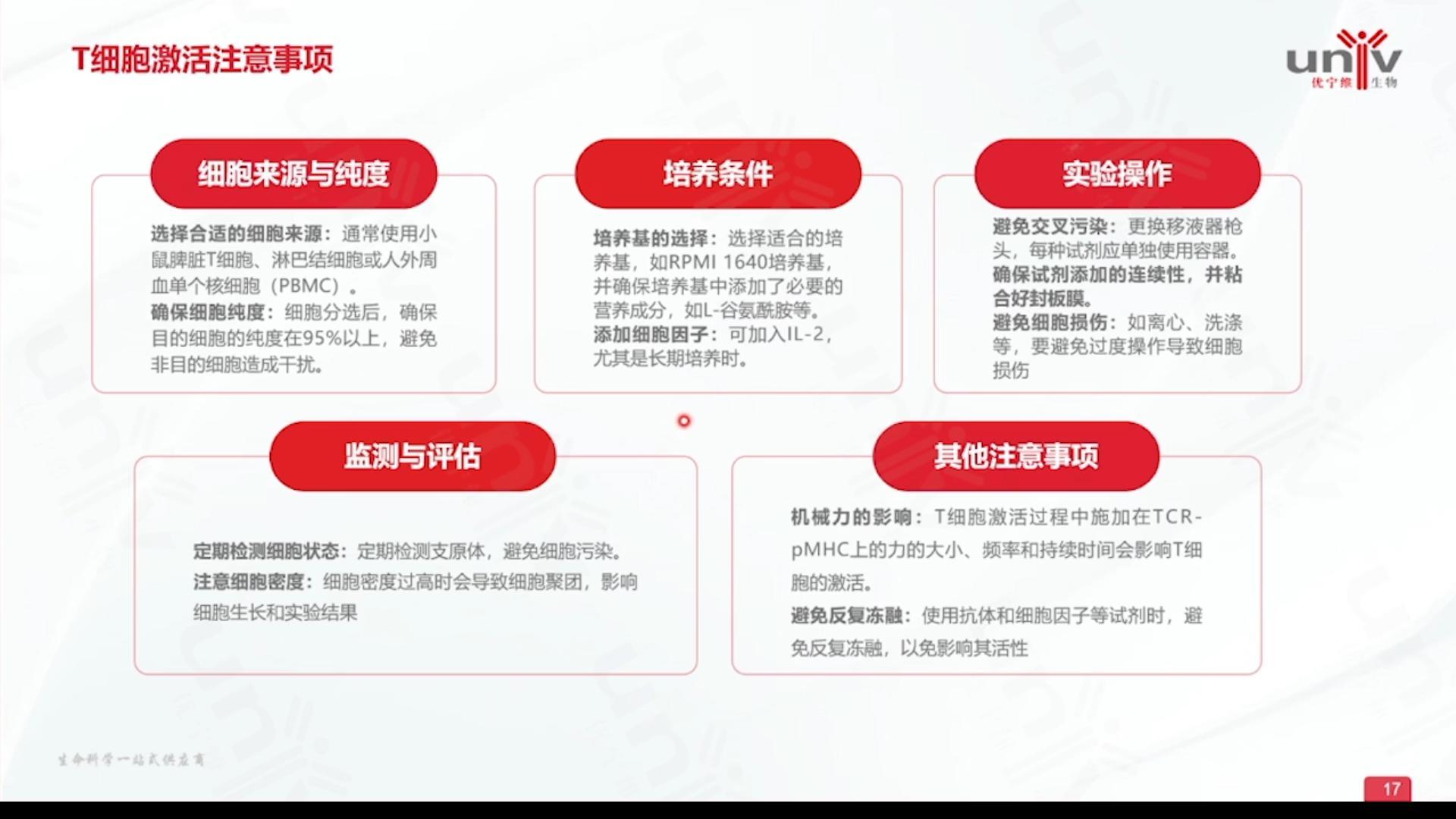 T细胞激活的注意事项