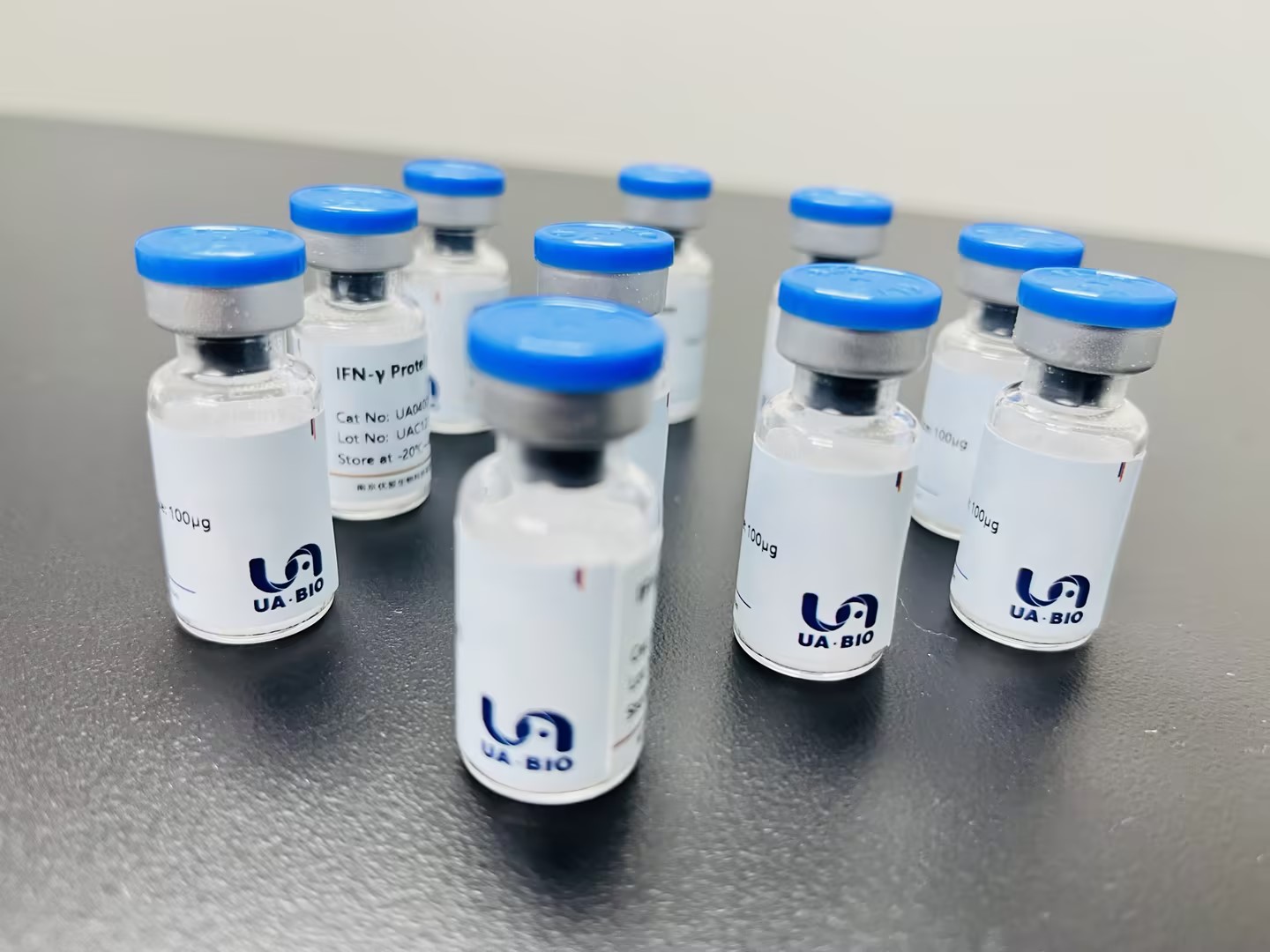 Furin/PCSK3 His Tag 重组蛋白：前蛋白转化机制研究与生物工程应用的核心工具