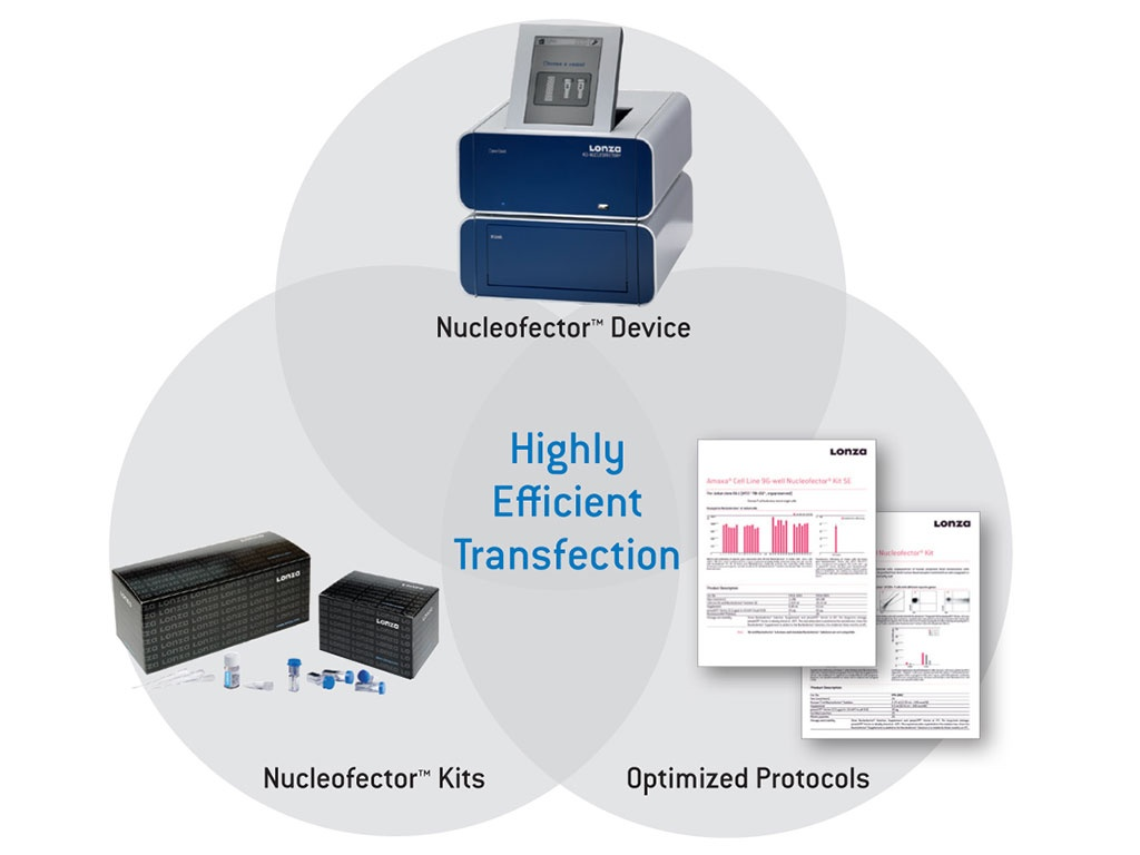 Lonza 细胞转染：难转染细胞的高效解决方案