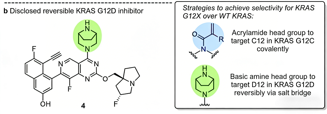靶向KRAS[G13D]的抑制剂与降解策略研究进展