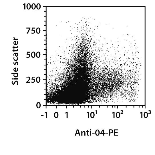 免疫与神经胶质细胞培养：从分选到扩增的核心要点