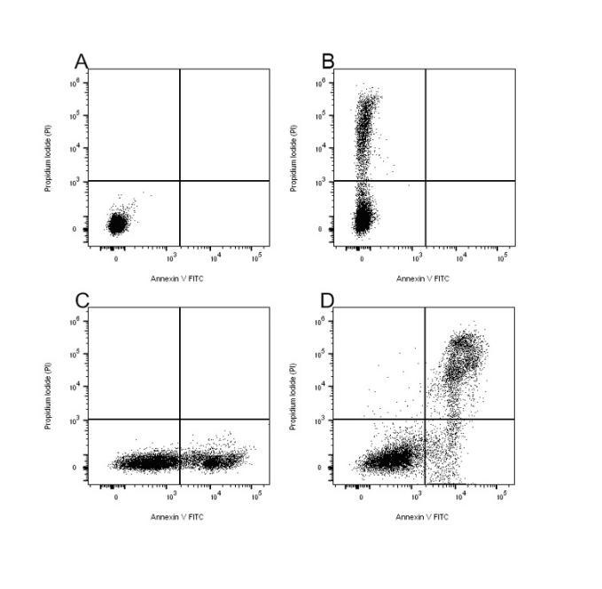 细胞凋亡检测技术：Annexin V与Caspase 3/7方法学比较及应用指南