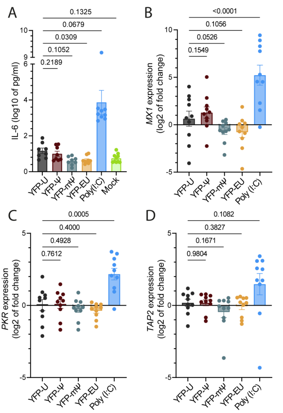 5-乙炔基尿苷：一种具有生物正交标记潜力的mRNA治疗用核苷类似物