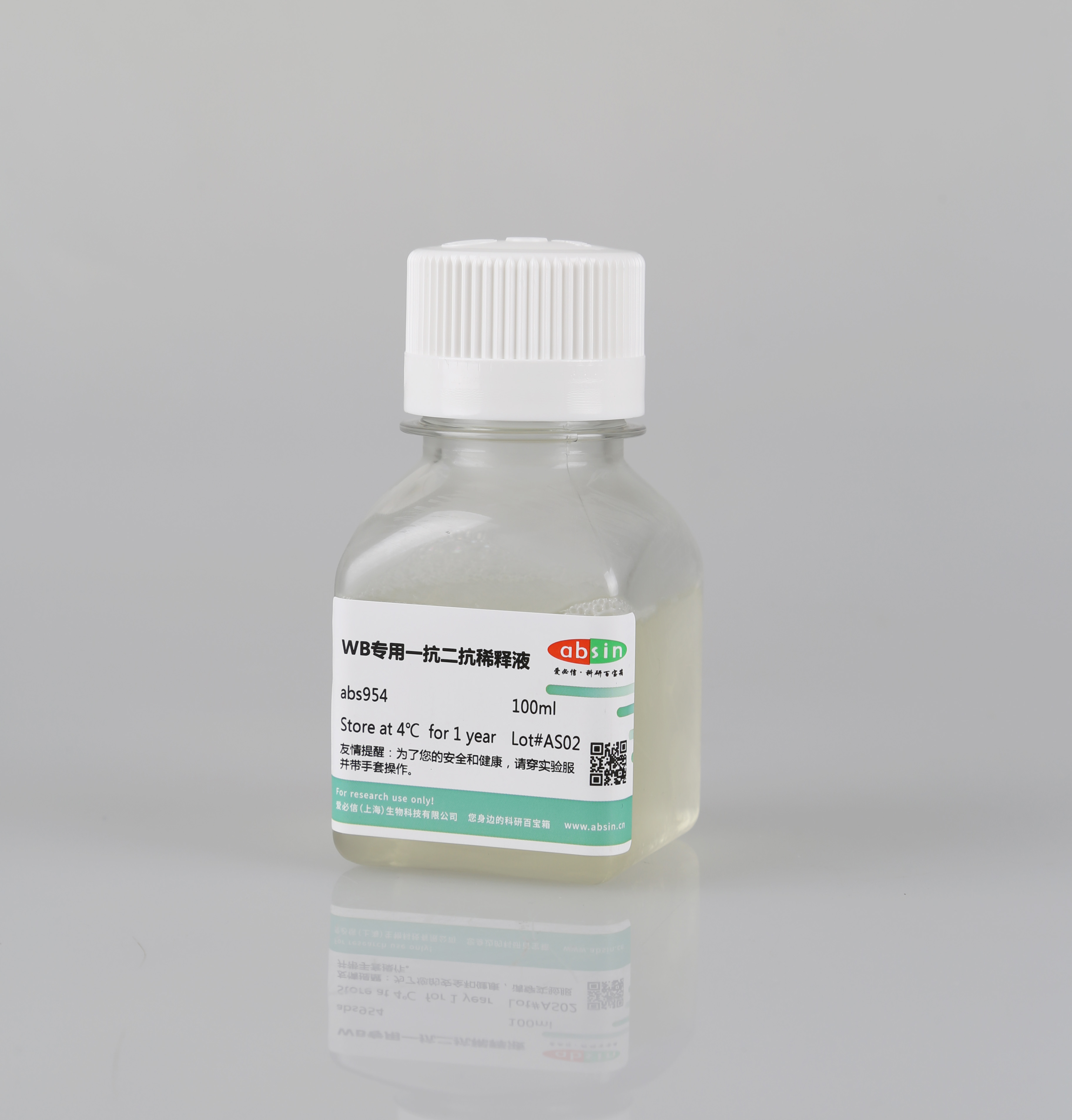 WB 实验入门：核心原理与关键试剂选择