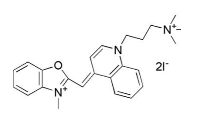 细胞死亡：分类、机制与实验检测工具