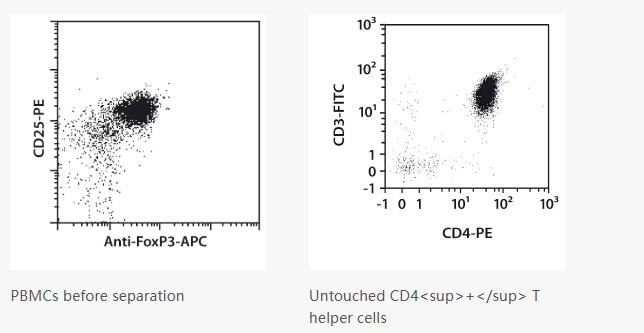美天旎磁珠分选 T 细胞：注意事项与 CD3/CD4/CD8/Treg 分选流程