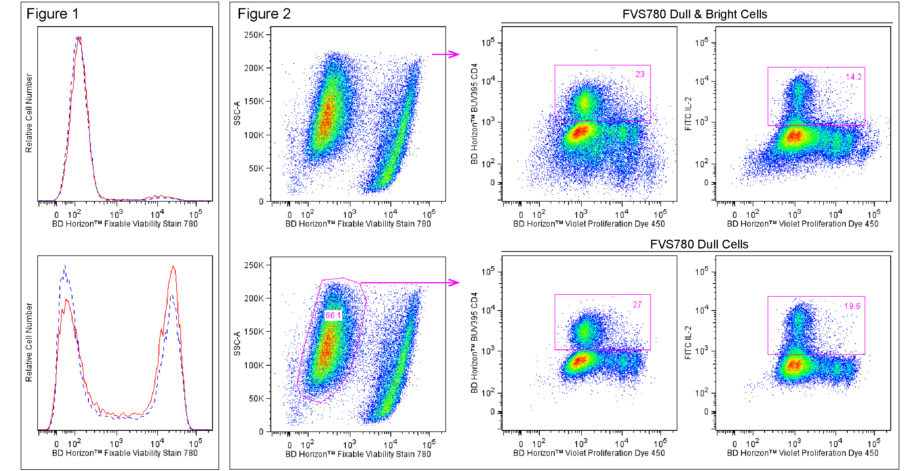 细胞功能研究：活力检测与功能分析工具