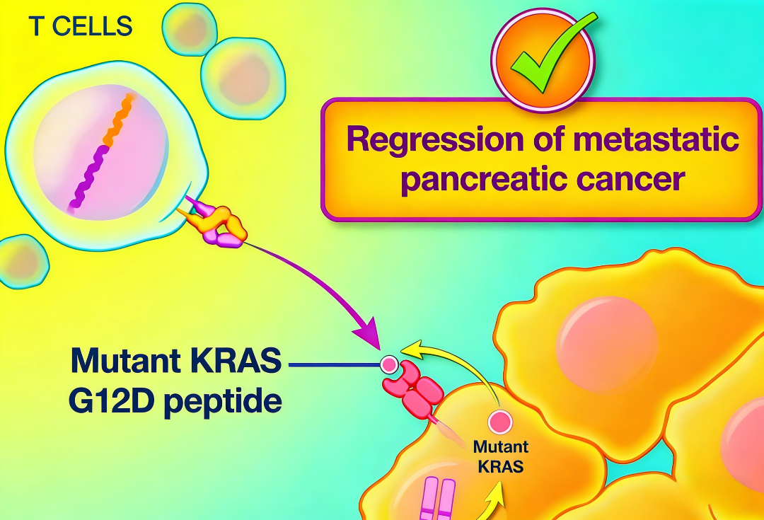 KRAS G12D突变靶向治疗的挑战与PROTAC技术新策略