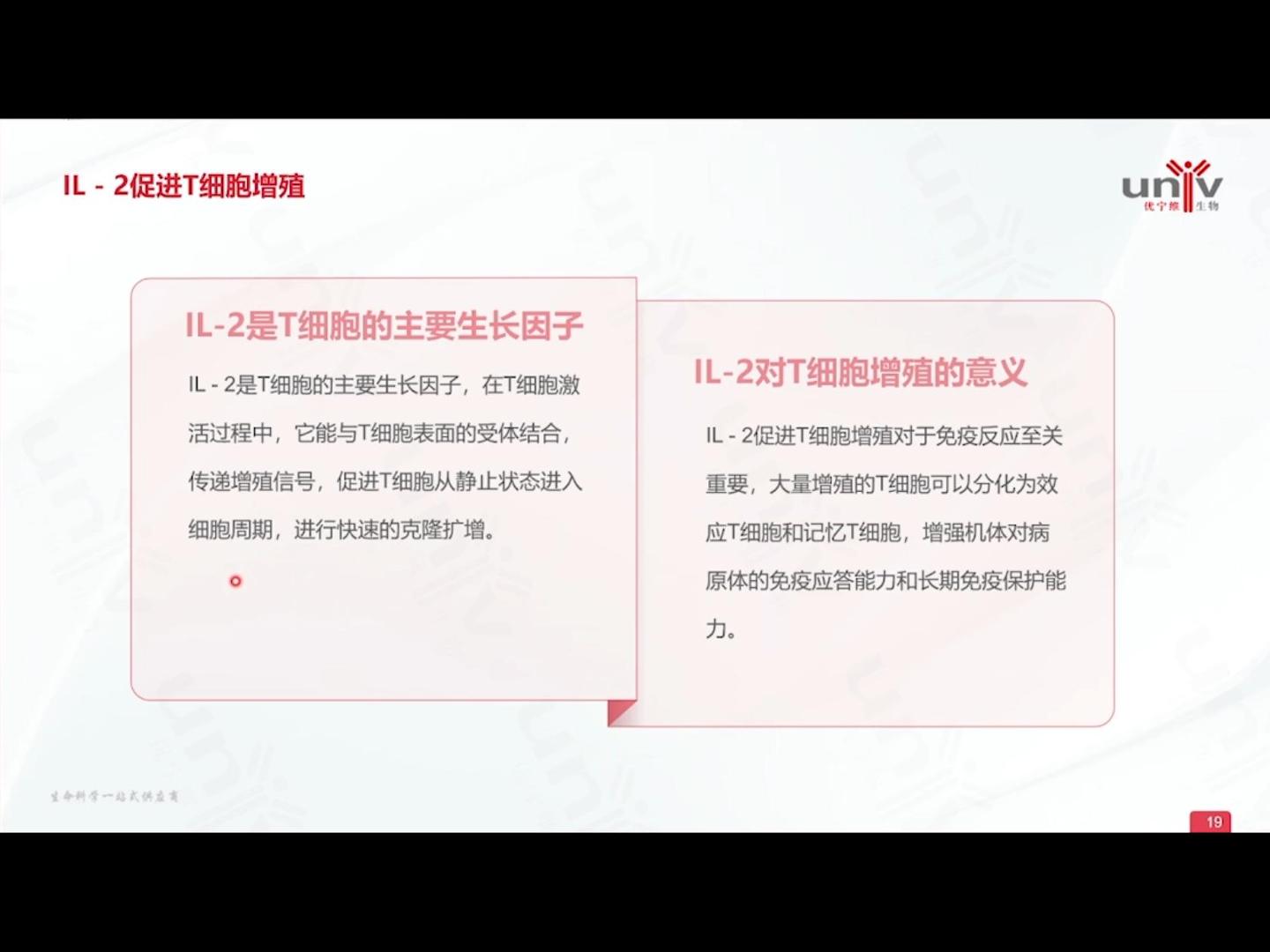 IL-2促进T细胞增殖