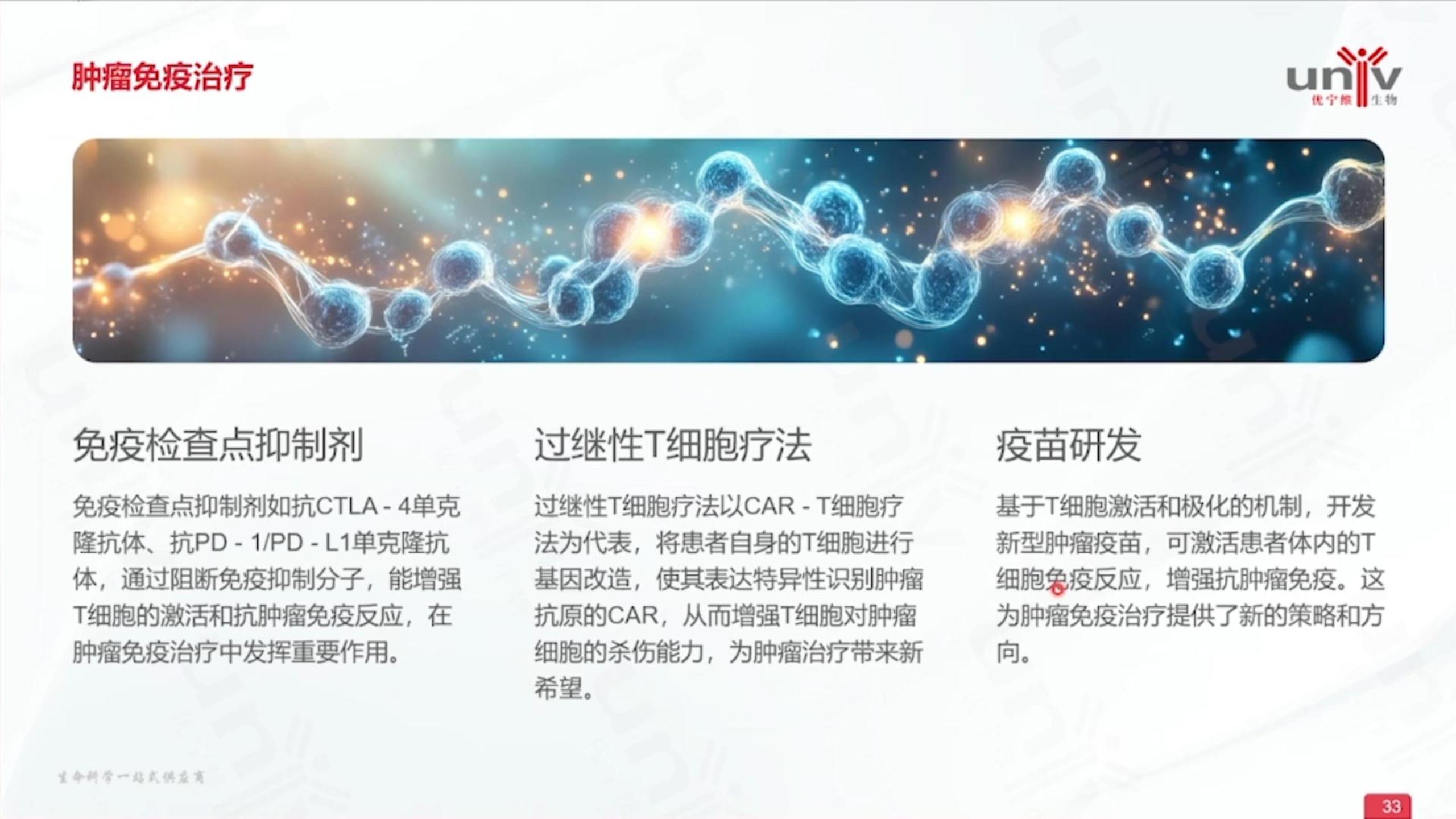 T 细胞临床应用