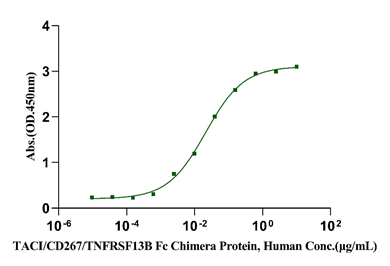 APRIL/TNFSF13蛋白：B细胞免疫调控与疾病治疗的关键靶点