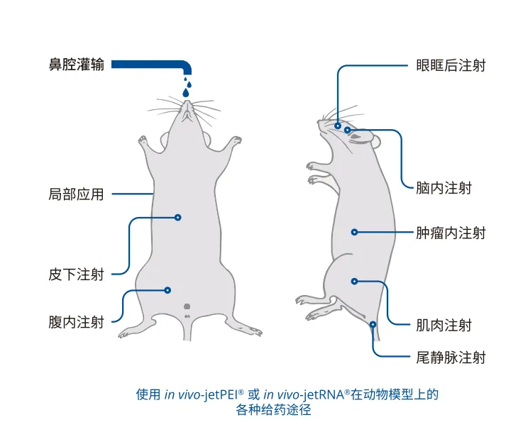 新闻图片2