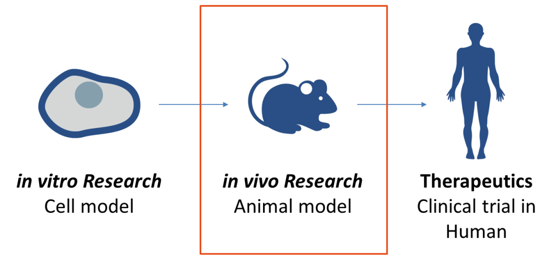 Polyplus in vivo-jetPEI®：活体转染试剂在癌症研究