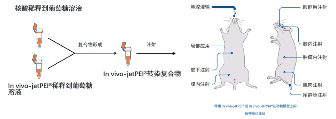 新闻图片3