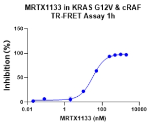 KRAS G12V突变型非小细胞肺癌的分子特征与临床研究进展