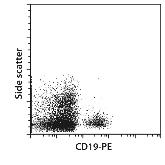 CD19+ B 细胞分选科普：解锁 B 细胞研究的关键一步