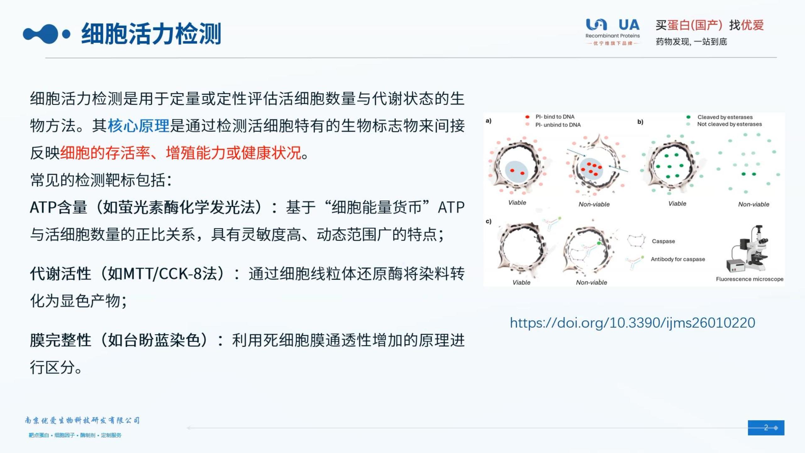 细胞活力检测 ADP法