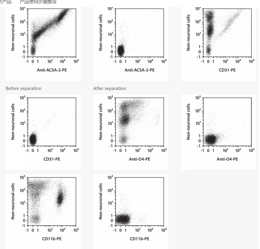 神经细胞分选：解锁脑科学研究的精准工具