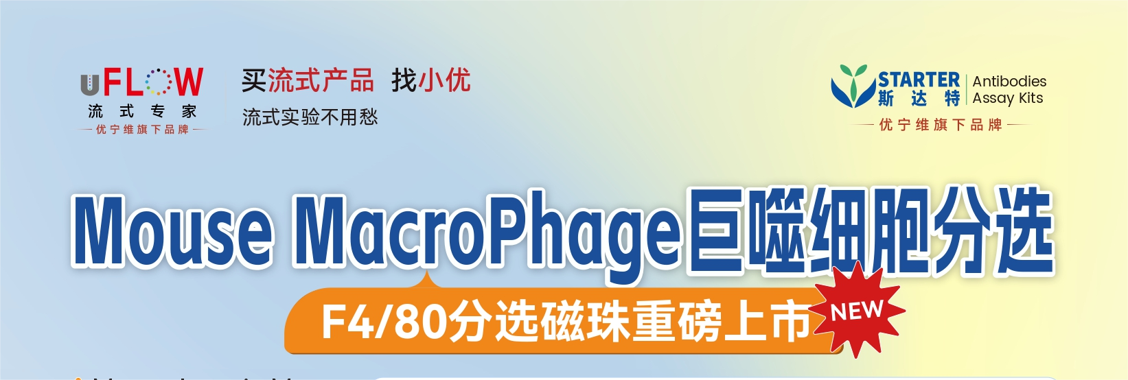 优宁维新品重磅上市！F4/80 分选磁珠来袭，巨噬细胞分选一站搞定