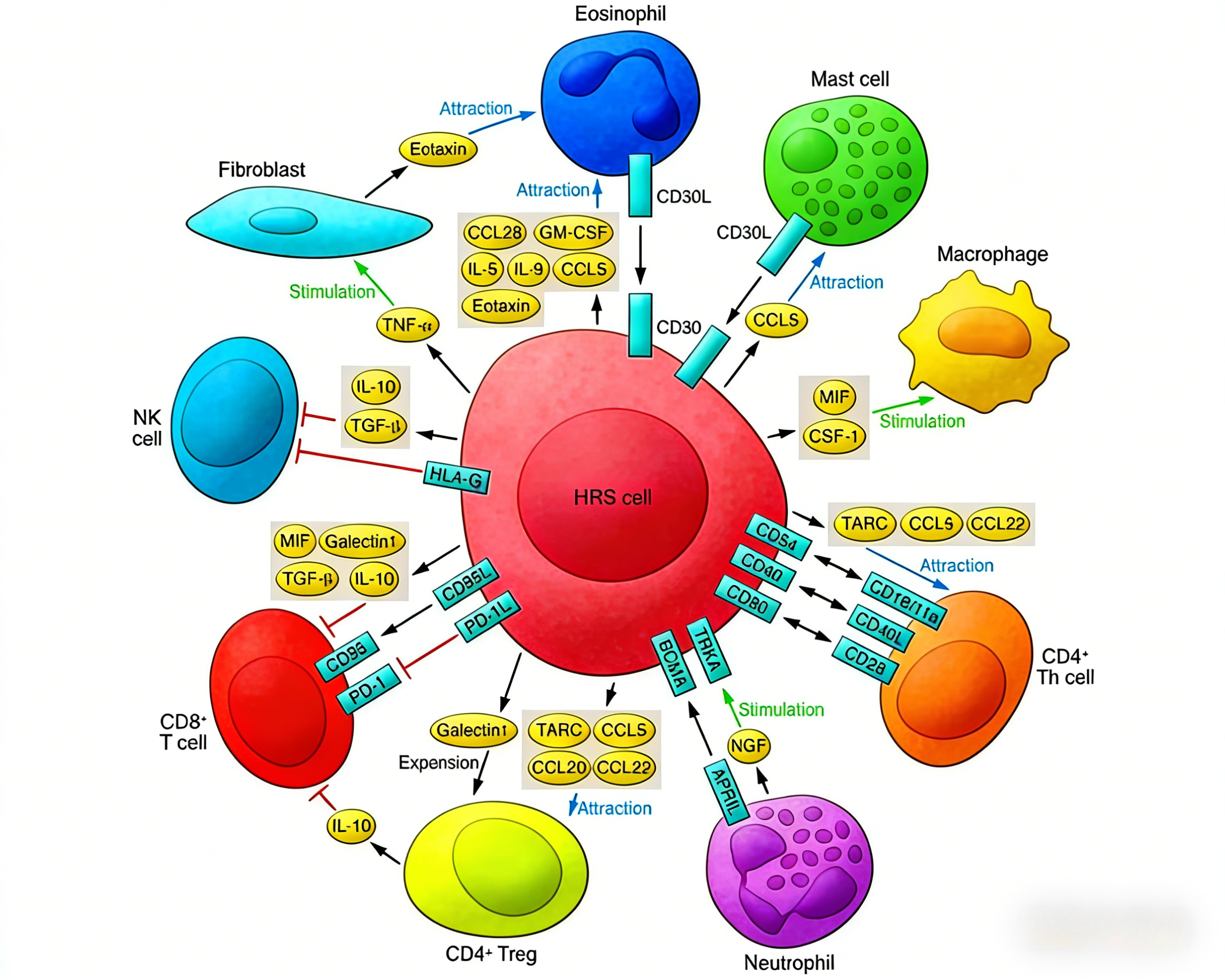 KRAS G13D & VCB结合试剂盒在靶向治疗中的应用