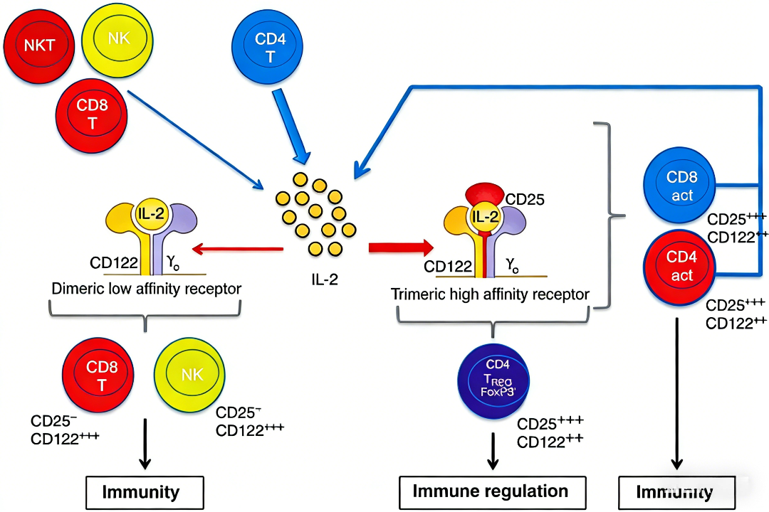 均相检测技术研究进展