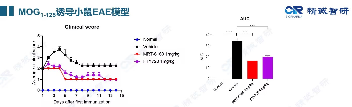 MOG(1-125)蛋白在MOG抗体相关疾病研究中的应用