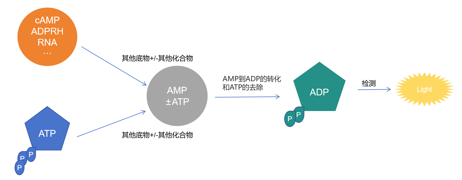 UA-Glo® AMP检测试剂盒技术原理与应用