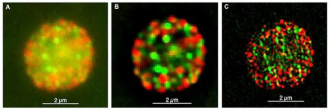 被审稿人追问「共定位≠互作」？PLA 才是顶刊认可的分子级实锤