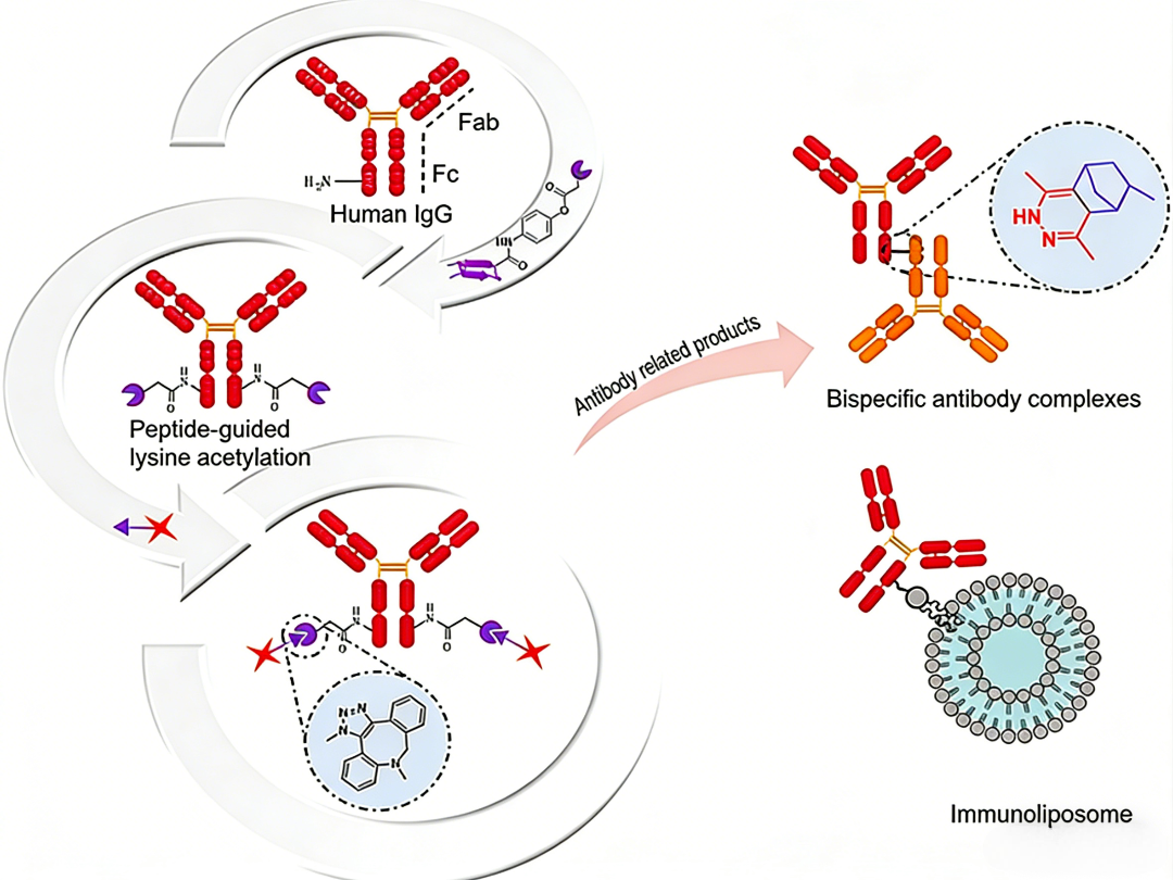 UA-Glo® Bright 萤光素酶检测系统的技术特征与应用优势