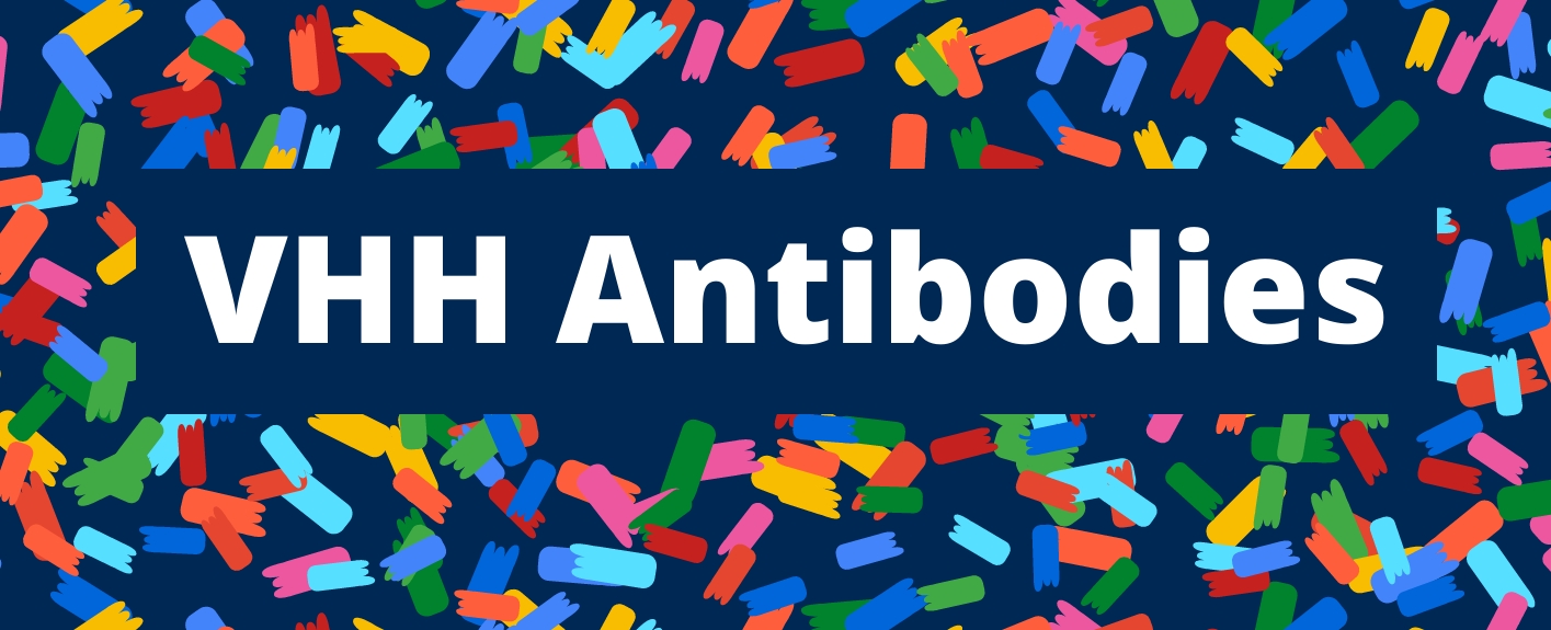 一文读懂VHH纳米抗体：结构、优势与应用攻略