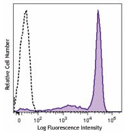 Ly6G/Ly6C 抗体科普：解锁小鼠髓系细胞研究