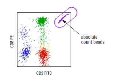 流式细胞术：细胞绝对计数与细胞表面抗原定量实操方法