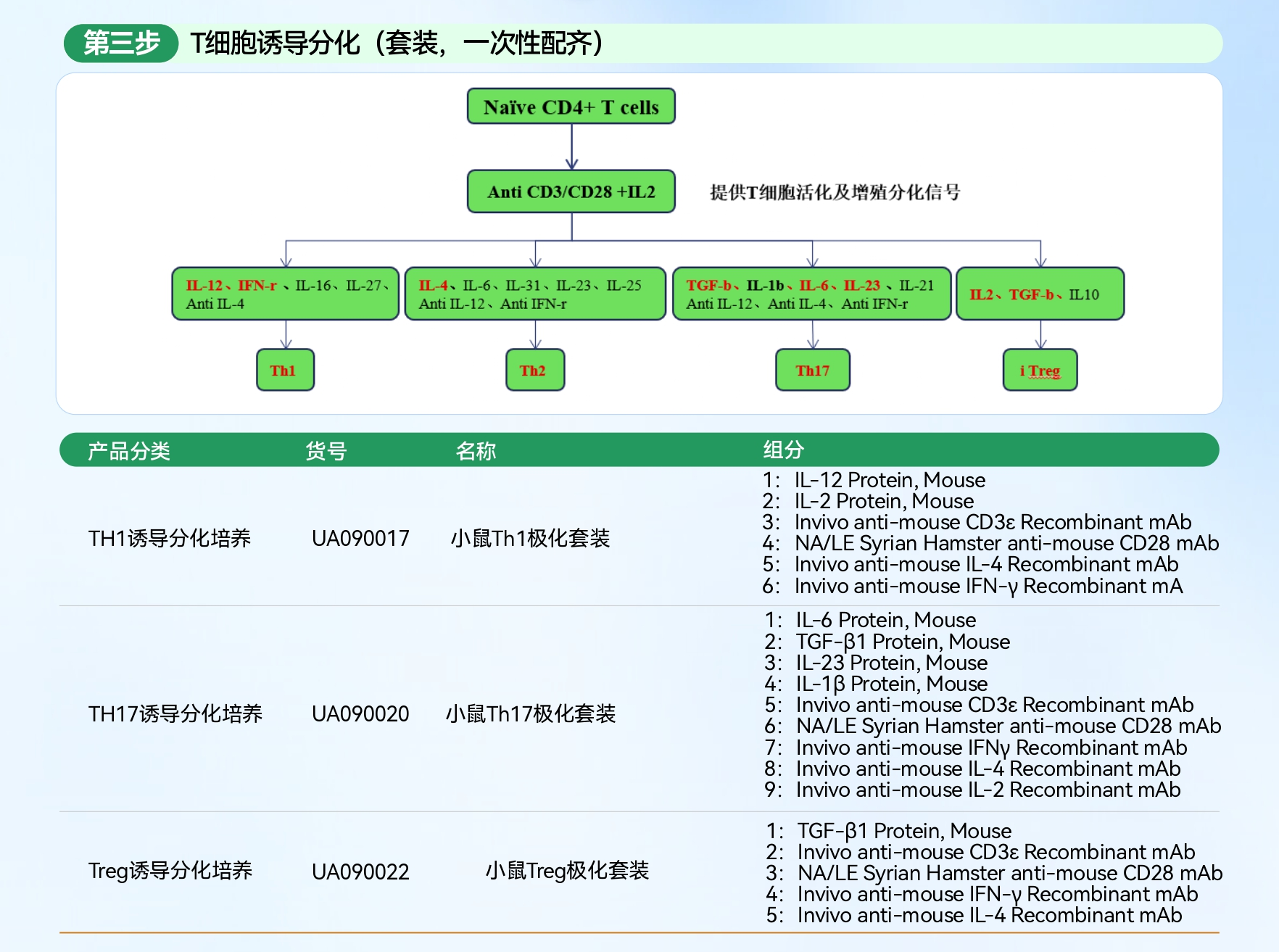T 细胞诱导分化：精准定向功能亚群的核心技术