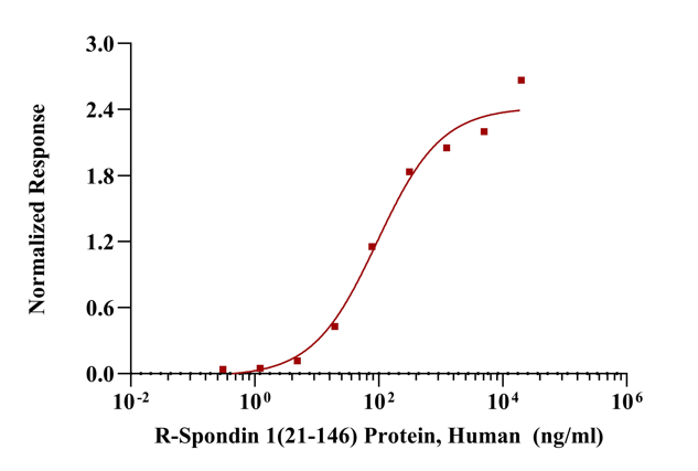 UA-MHC H-2K(b)/SIINFEKL OVA四聚体-PE标记在抗原特异性T细胞检测中的应用