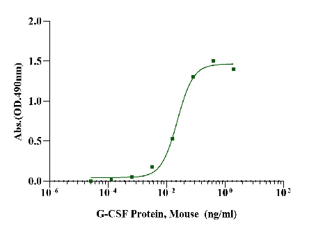 UA-MHC HLA-A*0201/SLLMWITQC NY-ESO-1四聚体-PE标记在抗原特异性T细胞检测中的应用