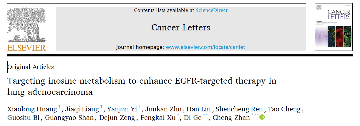 突破 EGFR-TKI 耐药困境！揭秘肌苷代谢新机制，Absin 产品全程助力肺腺癌研究