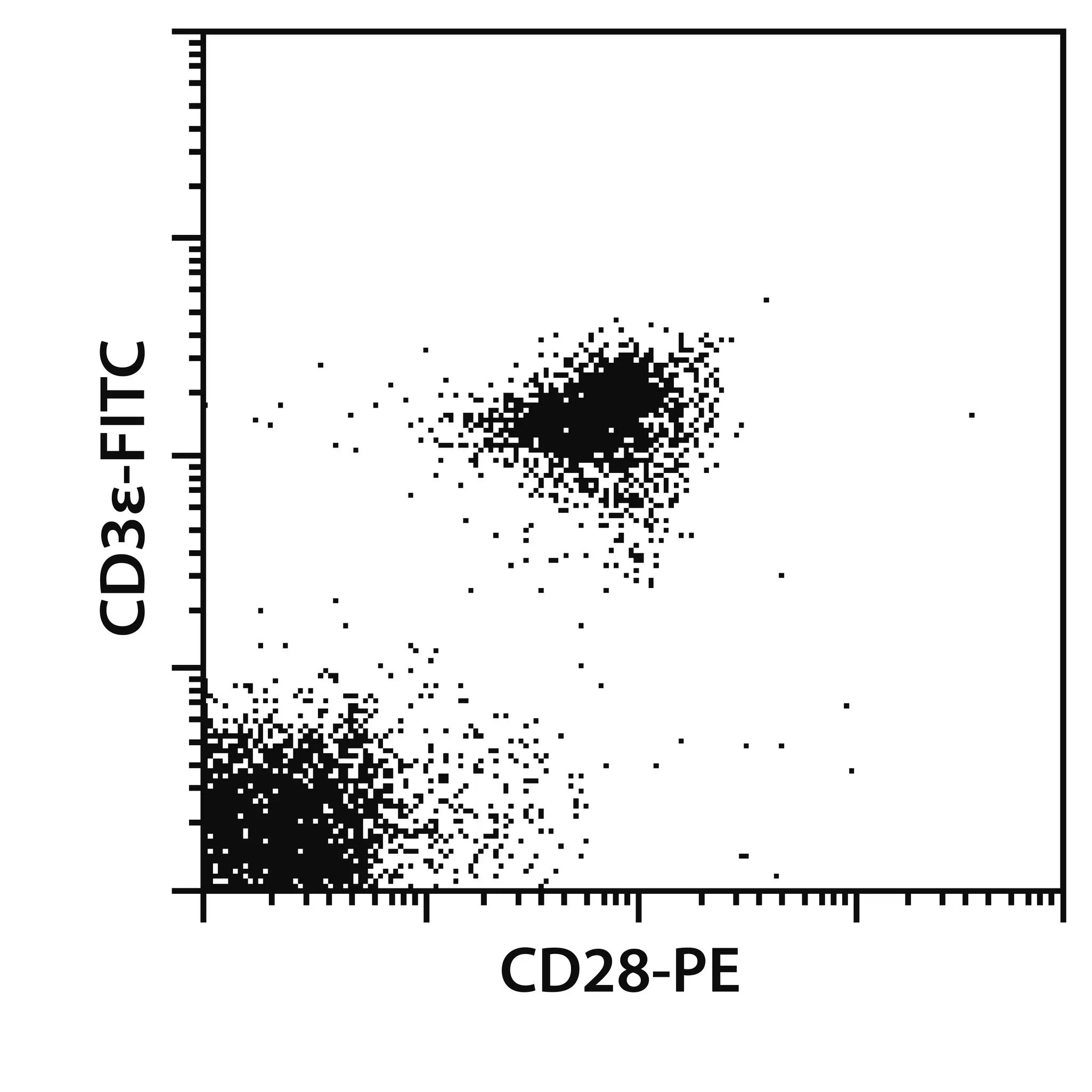 CD28：T 细胞活化的核心共刺激分子