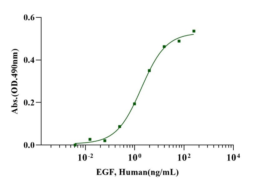 EGF蛋白的生物学功能与应用研究