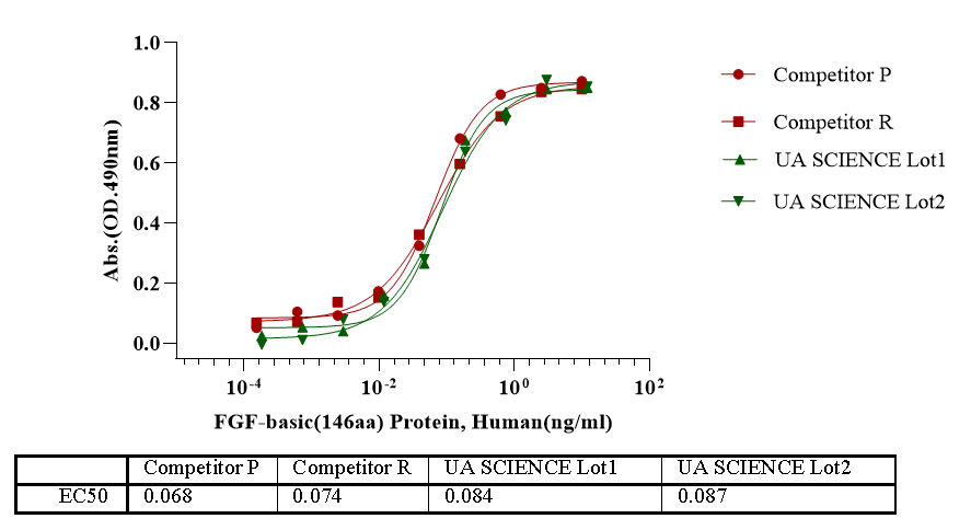 FGF-basic蛋白在成纤维细胞生长因子家族中的研究与应用