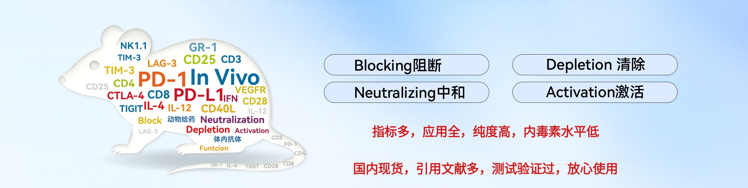 新闻图片2