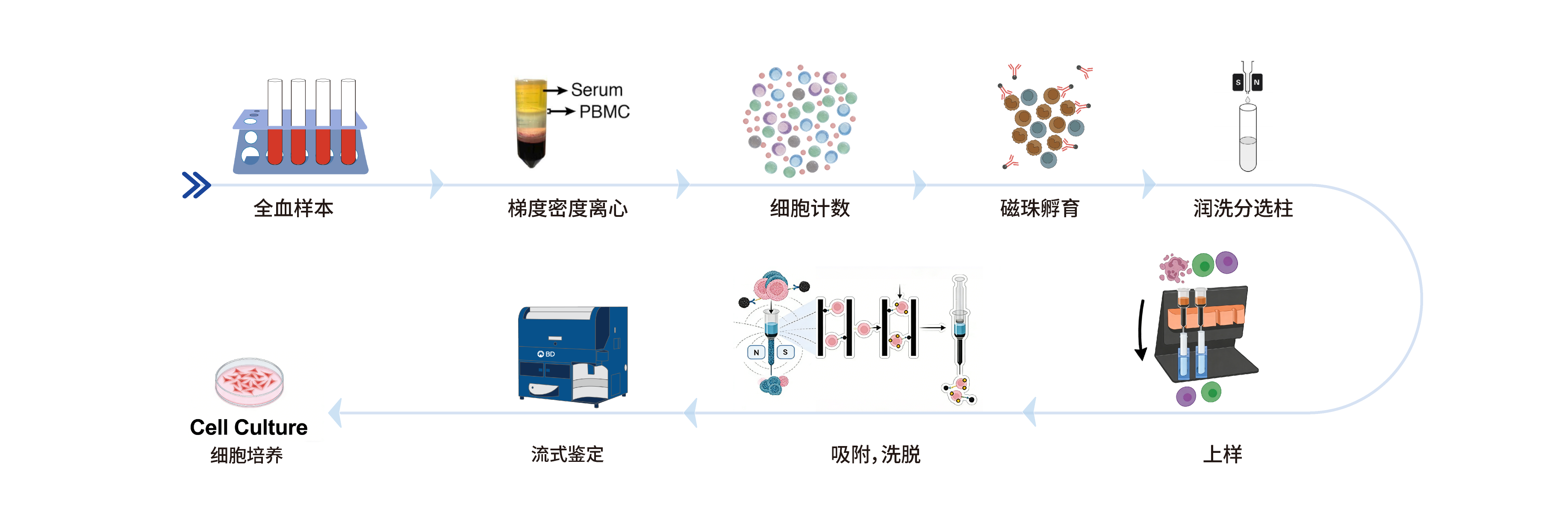 新闻图片2