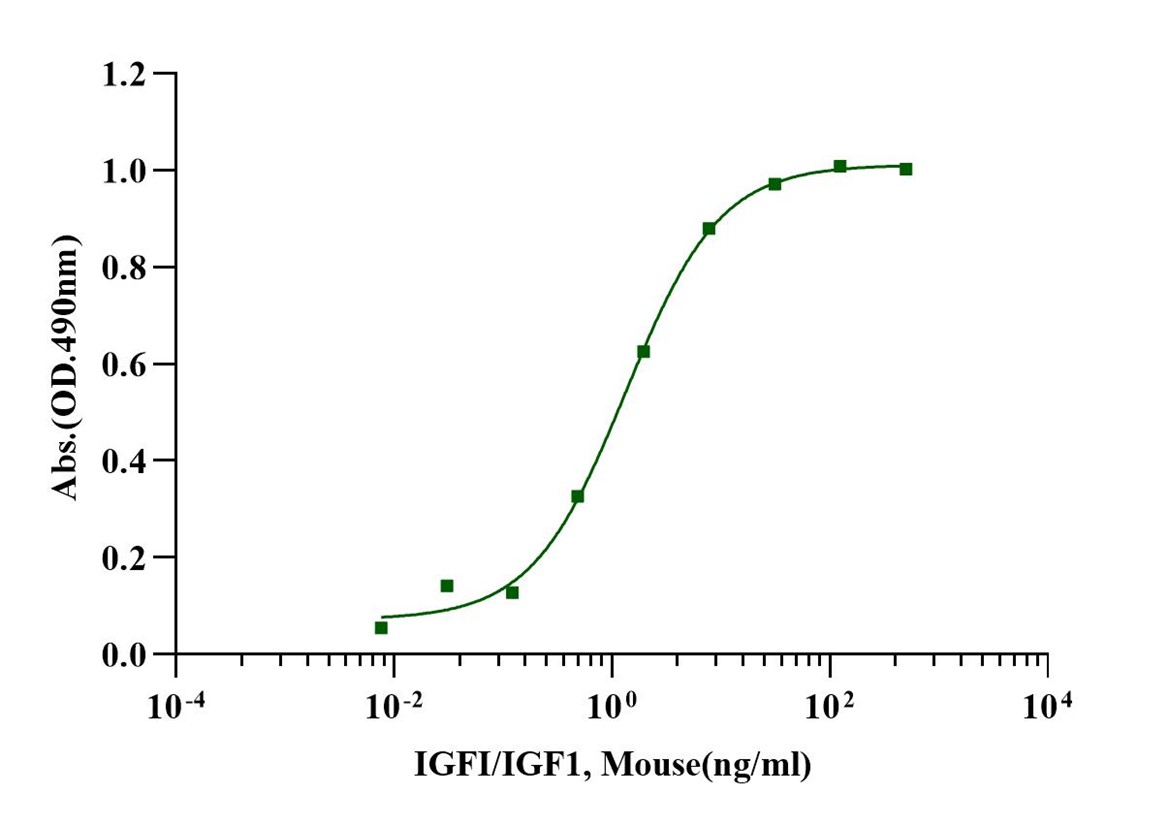 IGF-I蛋白的生物学功能与调控机制研究
