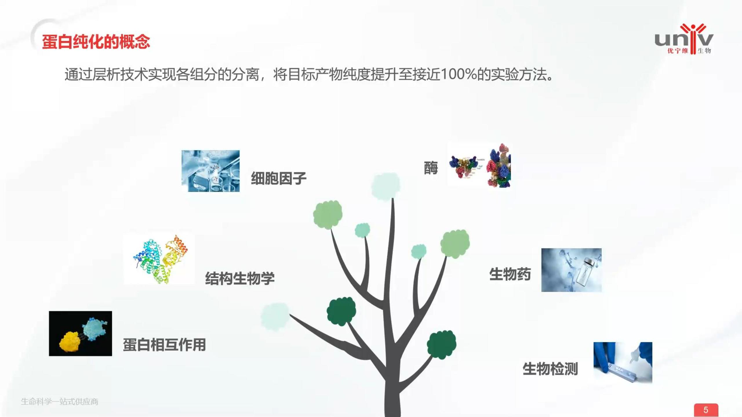 一分钟告诉你什么是蛋白纯化？