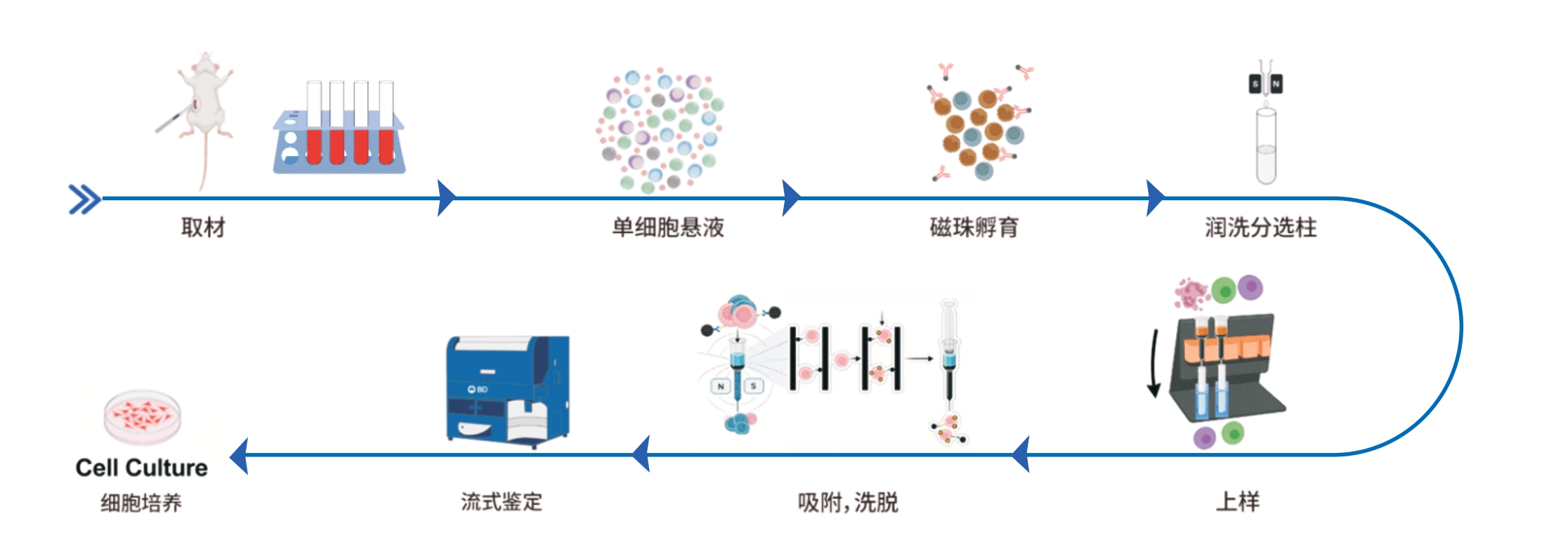 新闻图片1