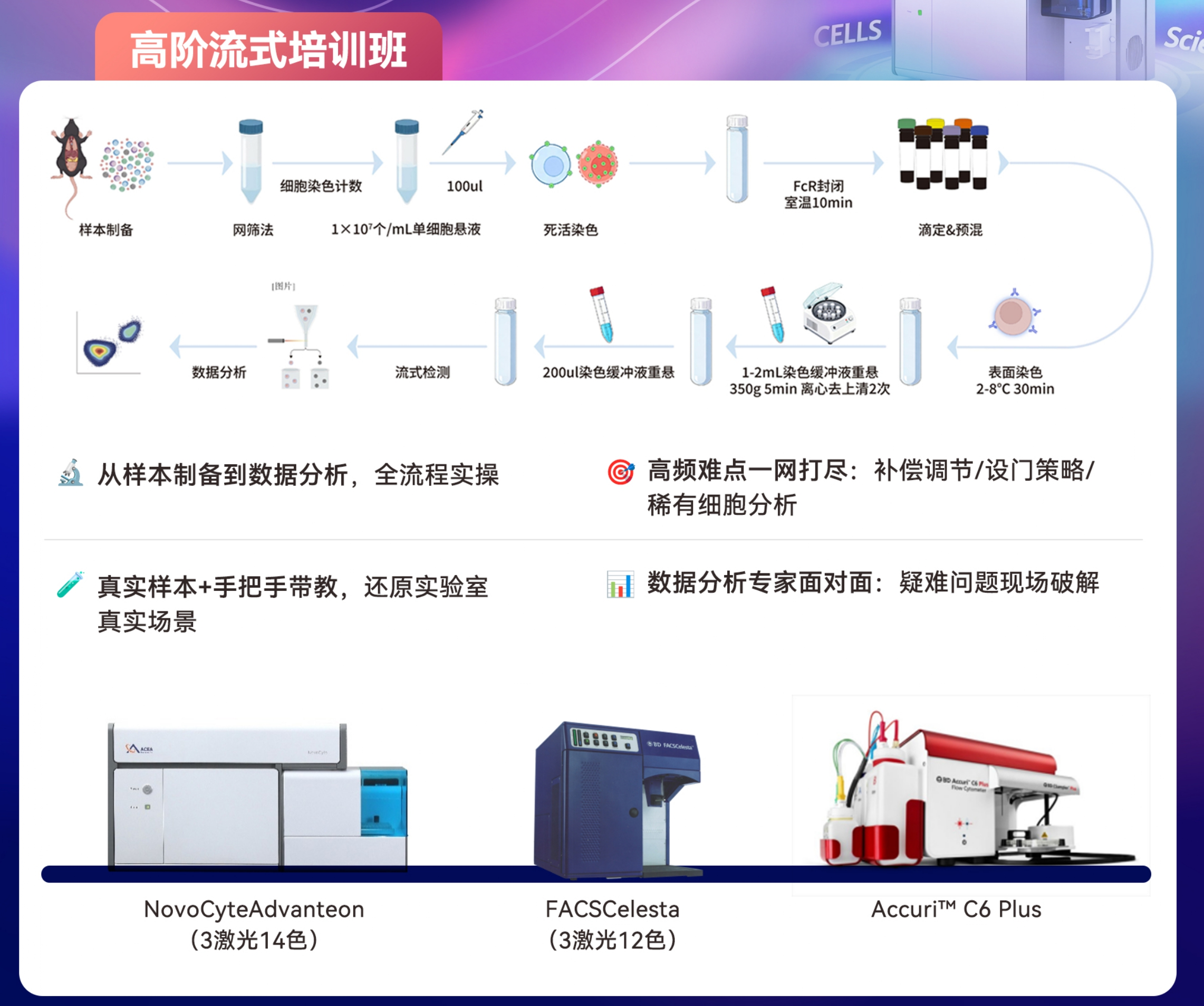 优宁维南京 COE 高阶流式培训班：全流程实操，攻克流式实验难点