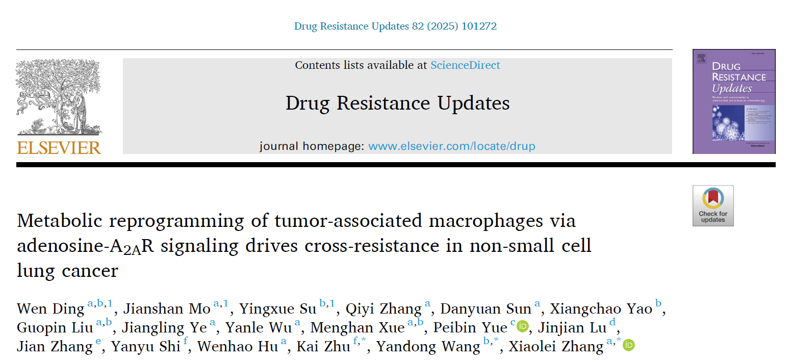 【IF 21.7】破解 NSCLC 化疗-免疫交叉耐药困局！腺苷-A₂AR-TAMs 轴机制揭晓，Absin 色氨酸检测试剂盒关键赋能