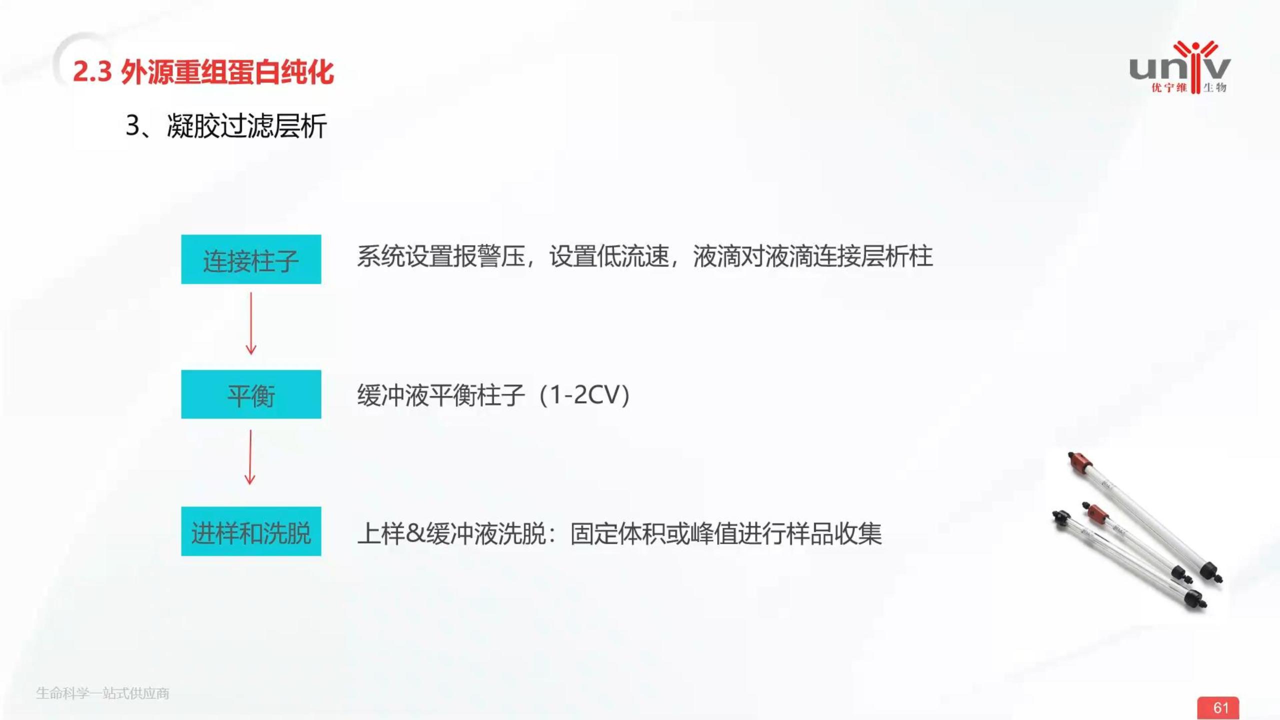 凝胶过滤层析