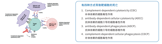实验数据示意图 media/image2.png
