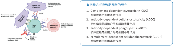 实验数据示意 media/image2.png