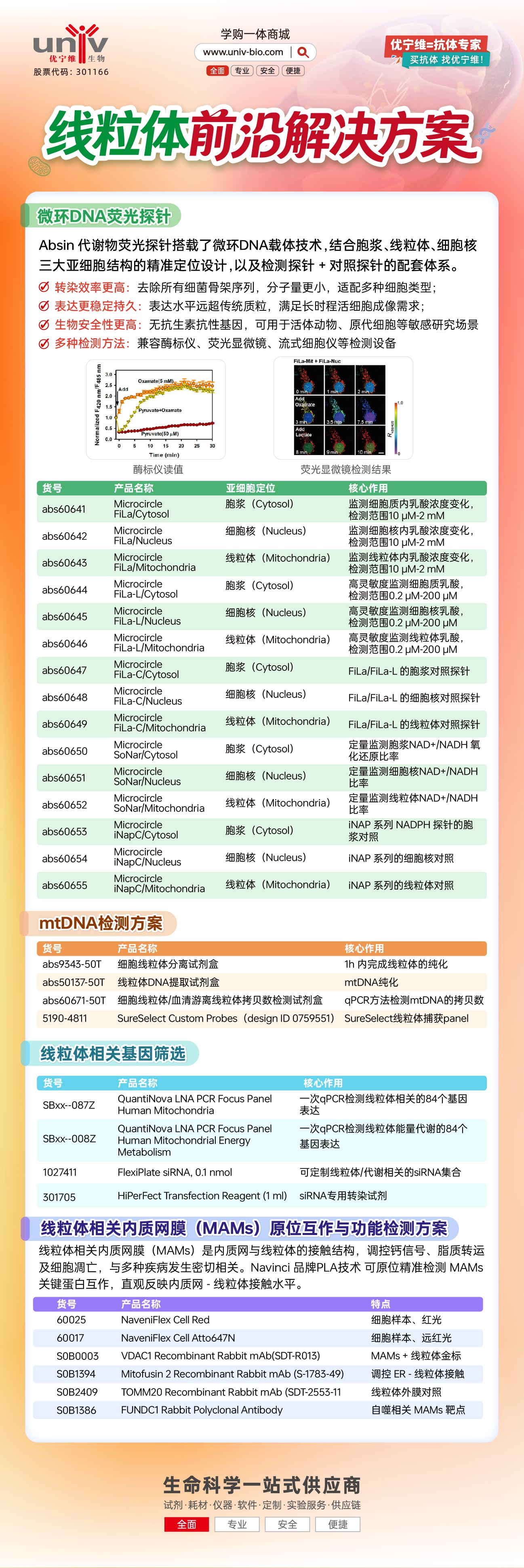 新闻图片2